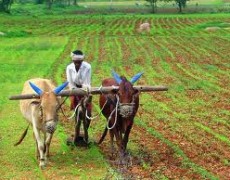 Enhancing access to livelihood opportunities
