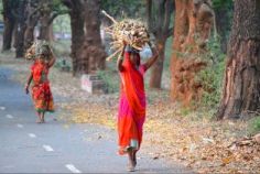 Voices from Mobile Vaani: Discussing the gender pay gap in Indian informal economies